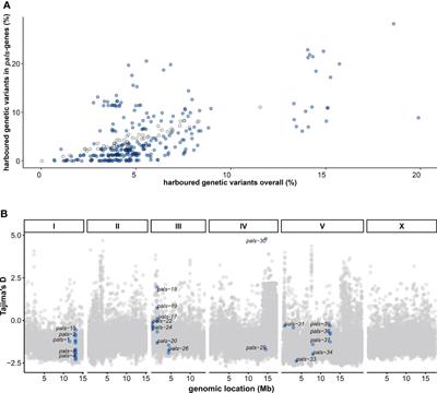 Balancing Selection of the Intracellular Pathogen Response in Natural Caenorhabditis elegans Populations